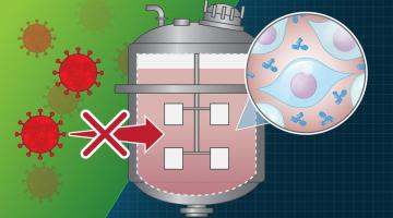 A new study from an MIT-led consortium, which analyzed 18 incidents of viral contamination at biopharmaceutical manufacturing plants, offers insight into the most common sources of viral contamination, and makes several recommendations to hel...