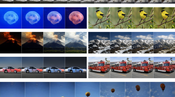 MIT researchers have developed a kind of creativity test for generative models to see how far they can go in visualizing objects in photos from various angles and in different colors. The tool shows how much the model's imagination depends on th...