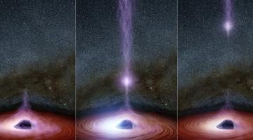 This diagram shows how a shifting feature, called a corona, can create a flare of X-rays around a black hole. The corona (feature represented in purplish colors) gathers inward (left), becoming brighter, before shooting away from the black hol...