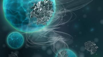 MIT engineers have designed nanoparticle sensors that can diagnose lung diseases. If a disease-associated protein is present in the lungs, the protein cleaves a gaseous molecule from the nanoparticle, and this gas can be detected in the patient’...